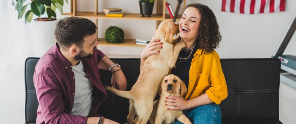 a couple giving love to their canine friends