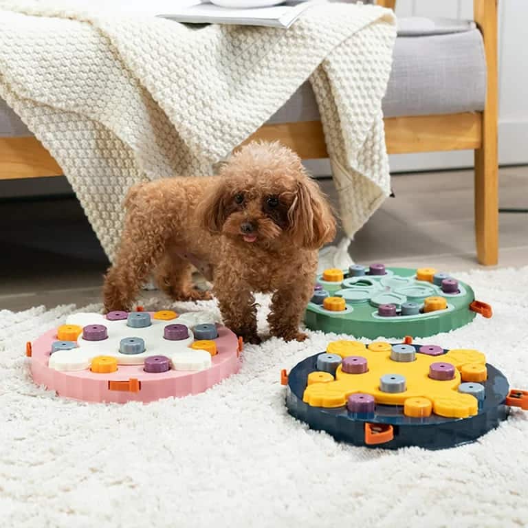 a furry puppy with puzzle games standing on a rug