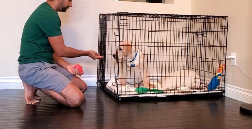 a man with his dog in the crate