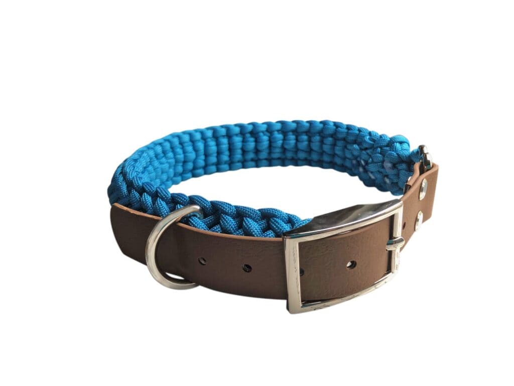 a paracord blue collar with brown buckle with white background