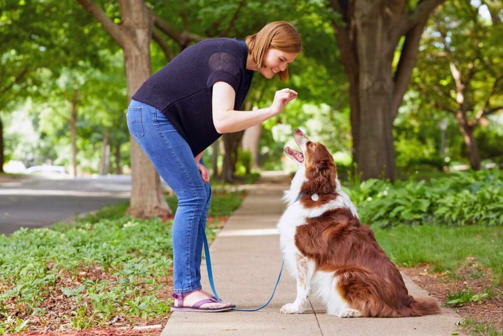 a women playing with her dog in the park