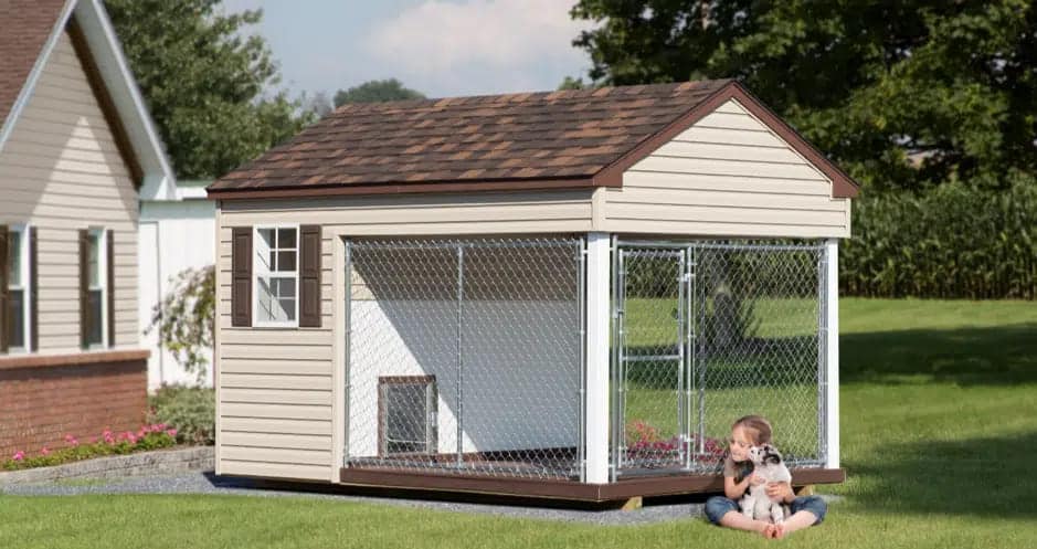 backyard dog kennel