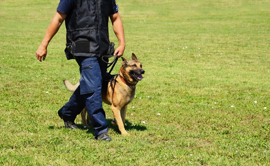 K police officer with his dog