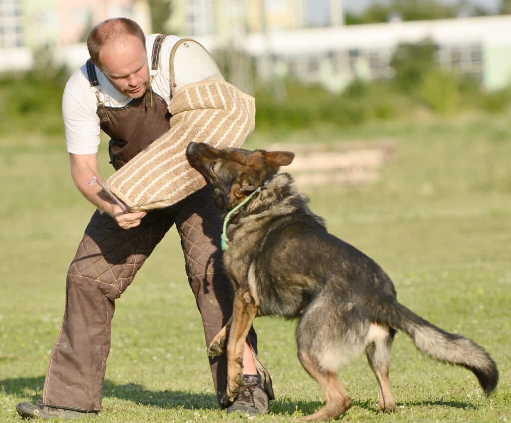 police officers along with their training dogs