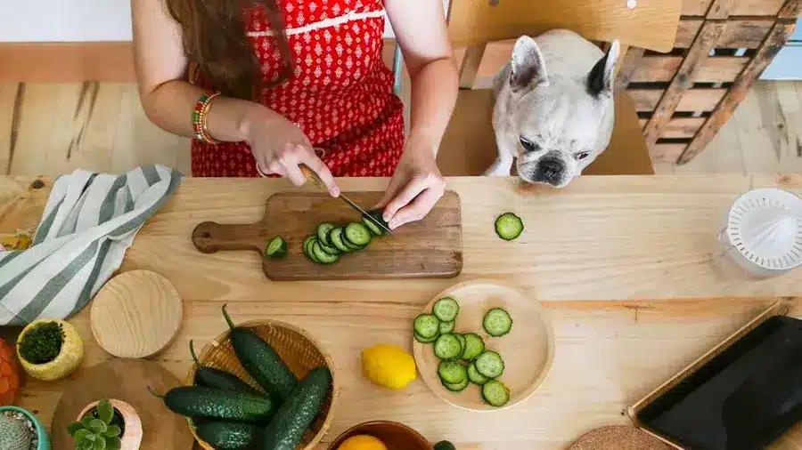 A top view of a woman cutting cucumber with a dog beside her