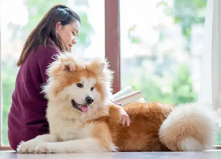 A view of a girl sitting with her fluffy dog reading book