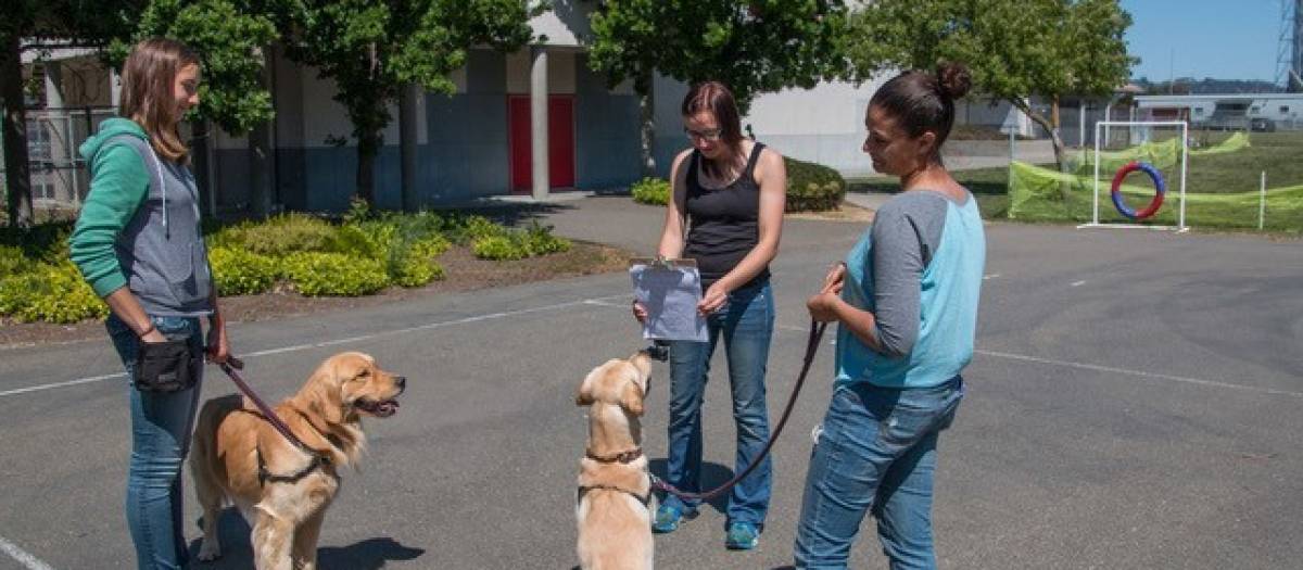 A view of some woman holding thier dogs