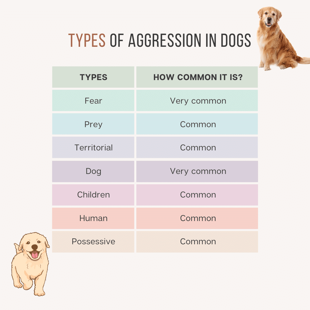 A comparison of types of common aggression shown by dogs