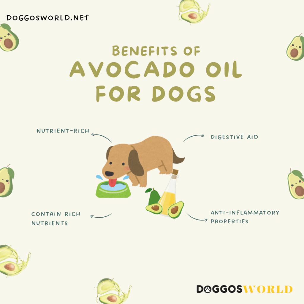 A graphical representation of avocado oil benefits for dogs