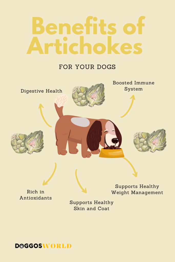 A graphical representation of the benefits of dogs eating artichokes