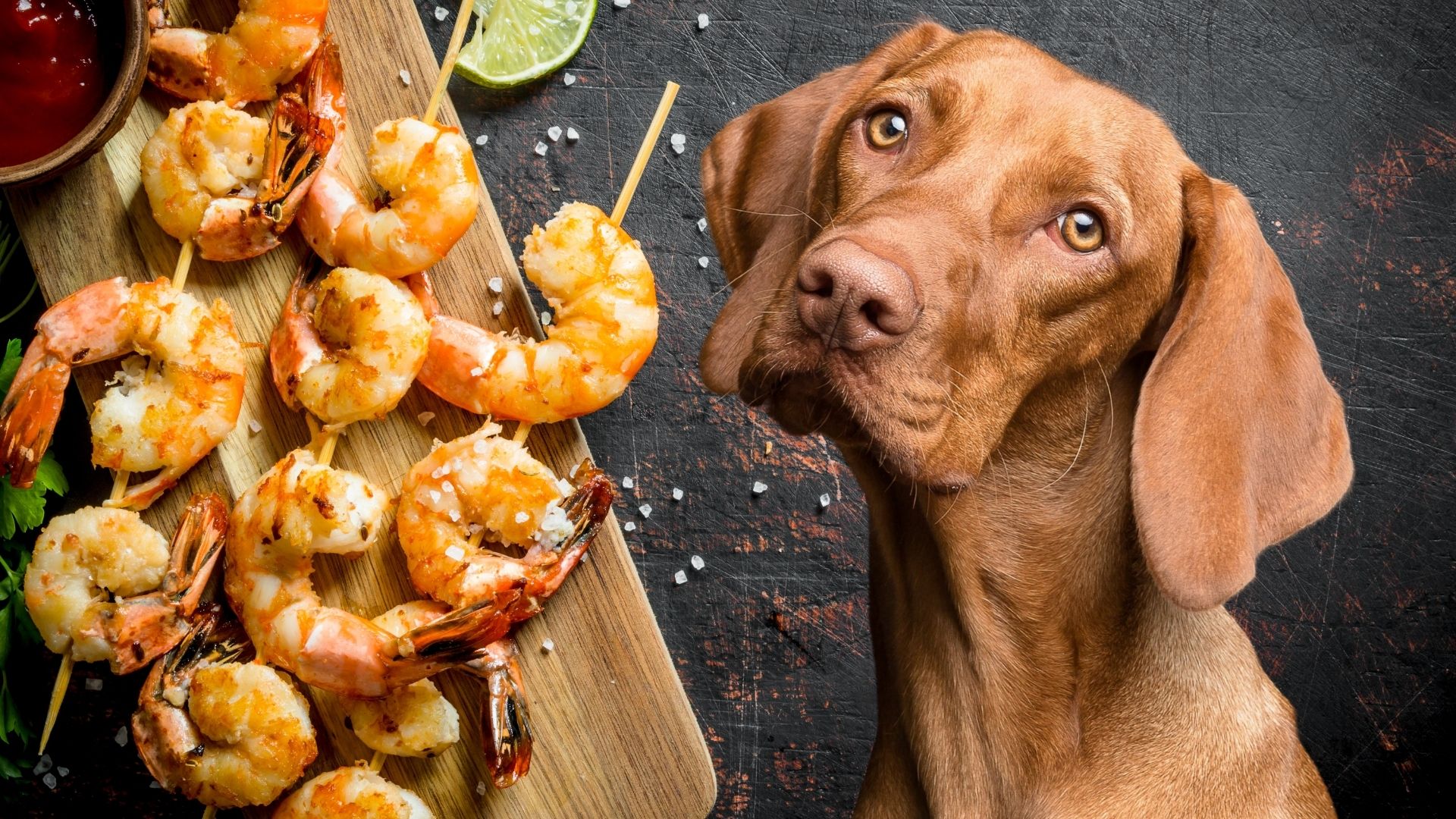 A view of a brown dog looking at tempura shrimp