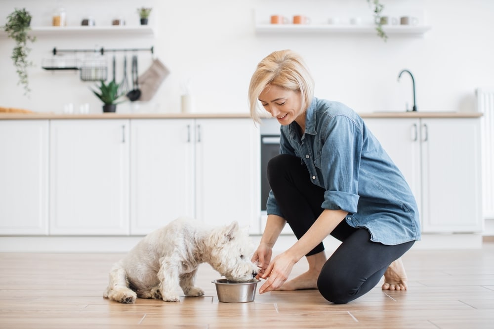 A view of a woman feeding a fluffy white dog