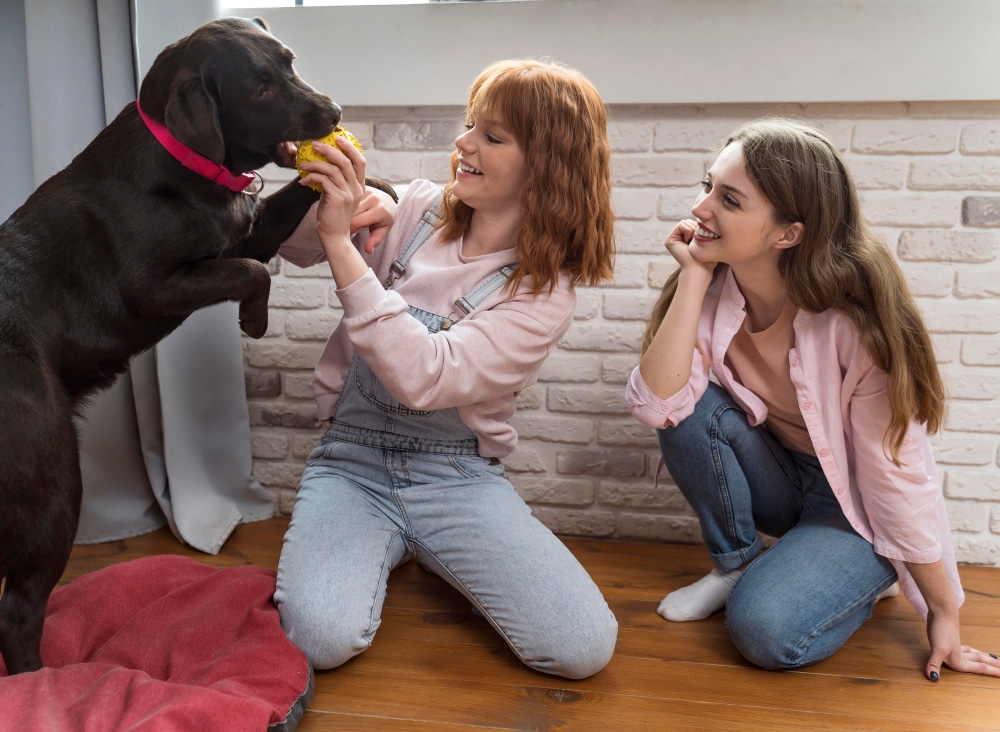 A view of two girls lovingly playing with dogs