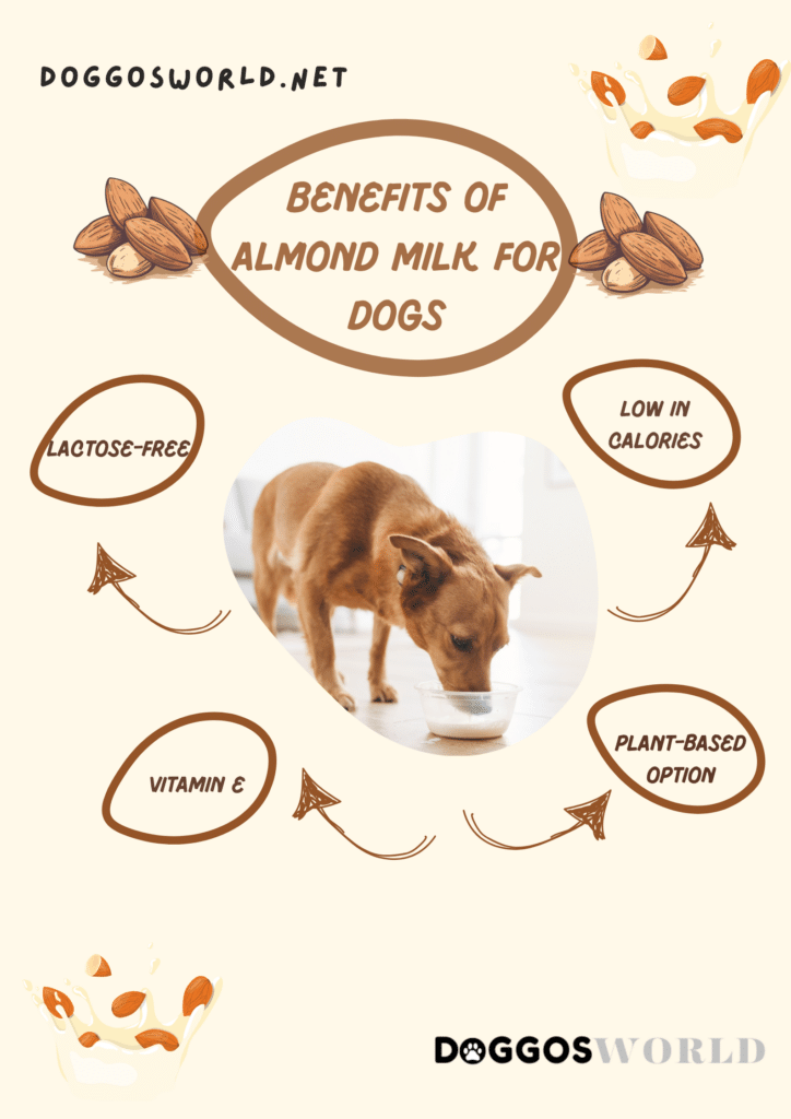 A graphical representation of the benefits of almond milk for dogs