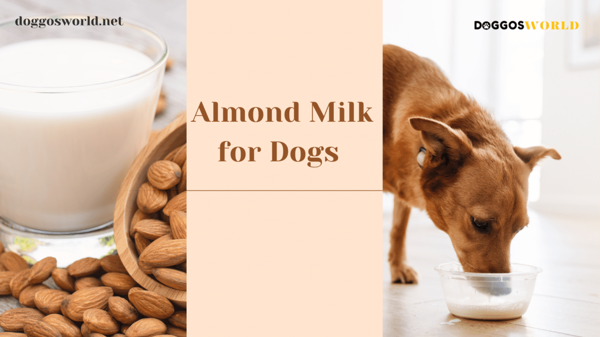 A view of a dog drinking almond milk