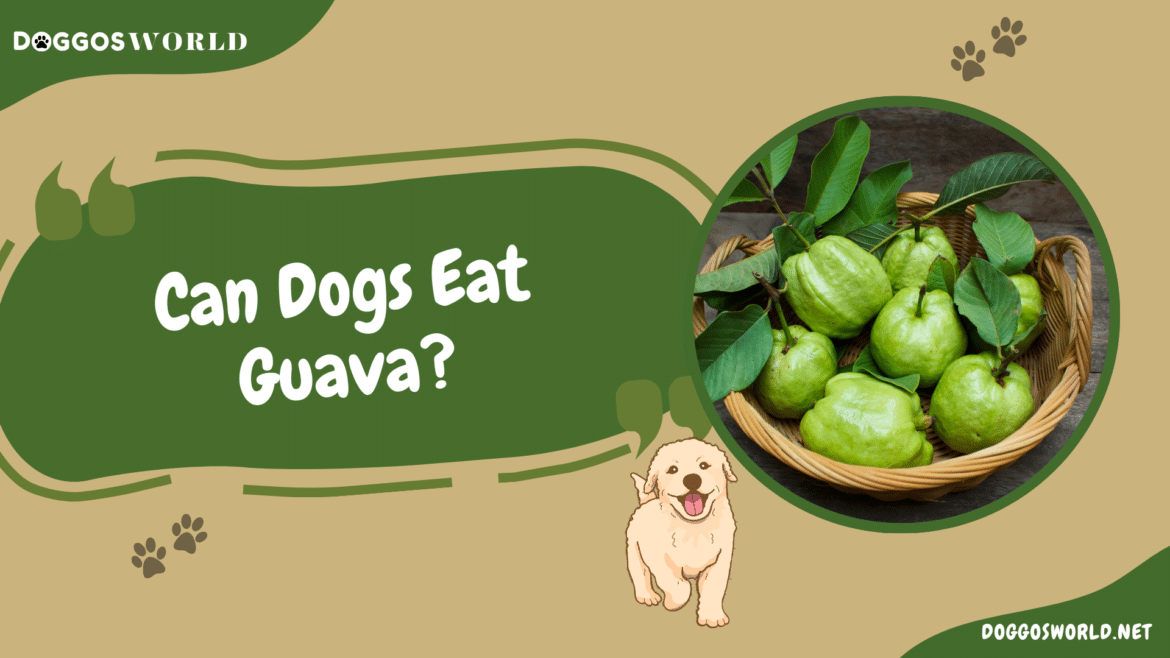 Can Dogs Eat Guava