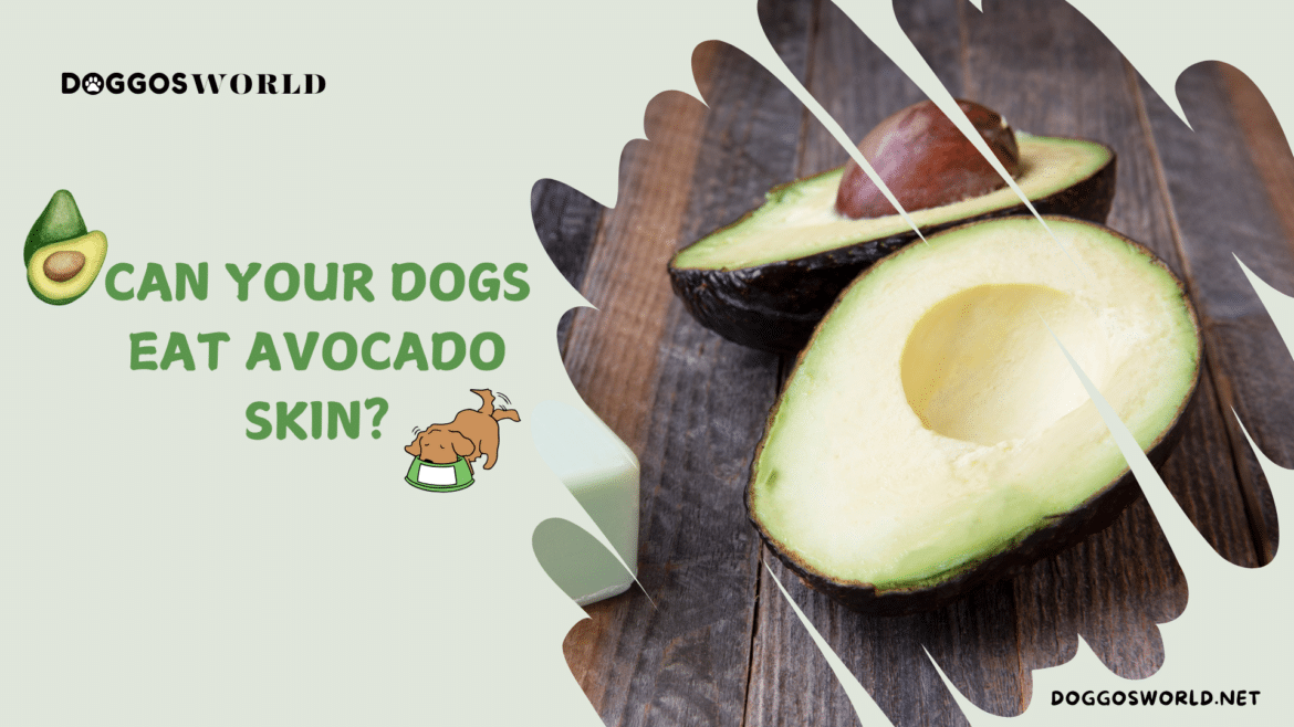 can your dog eat avocado skin can your dog eat avocado skin