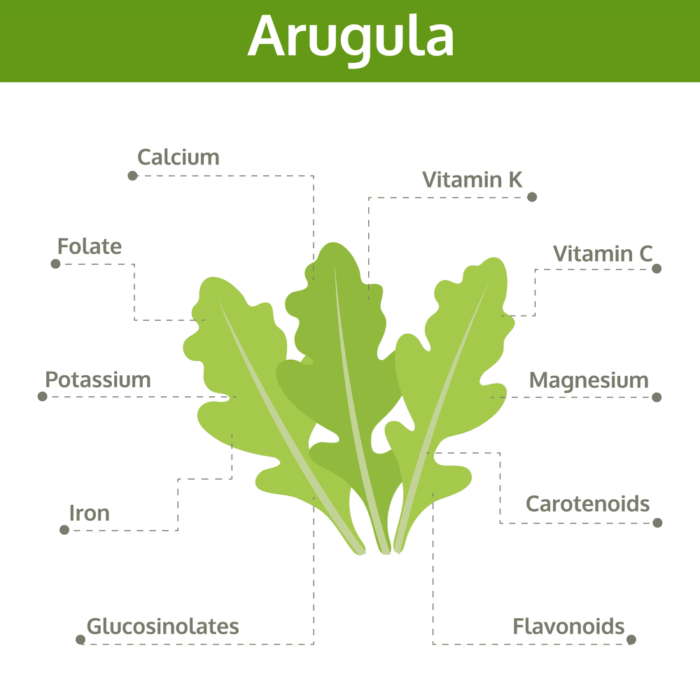 arugula nutrient of facts and health benefits